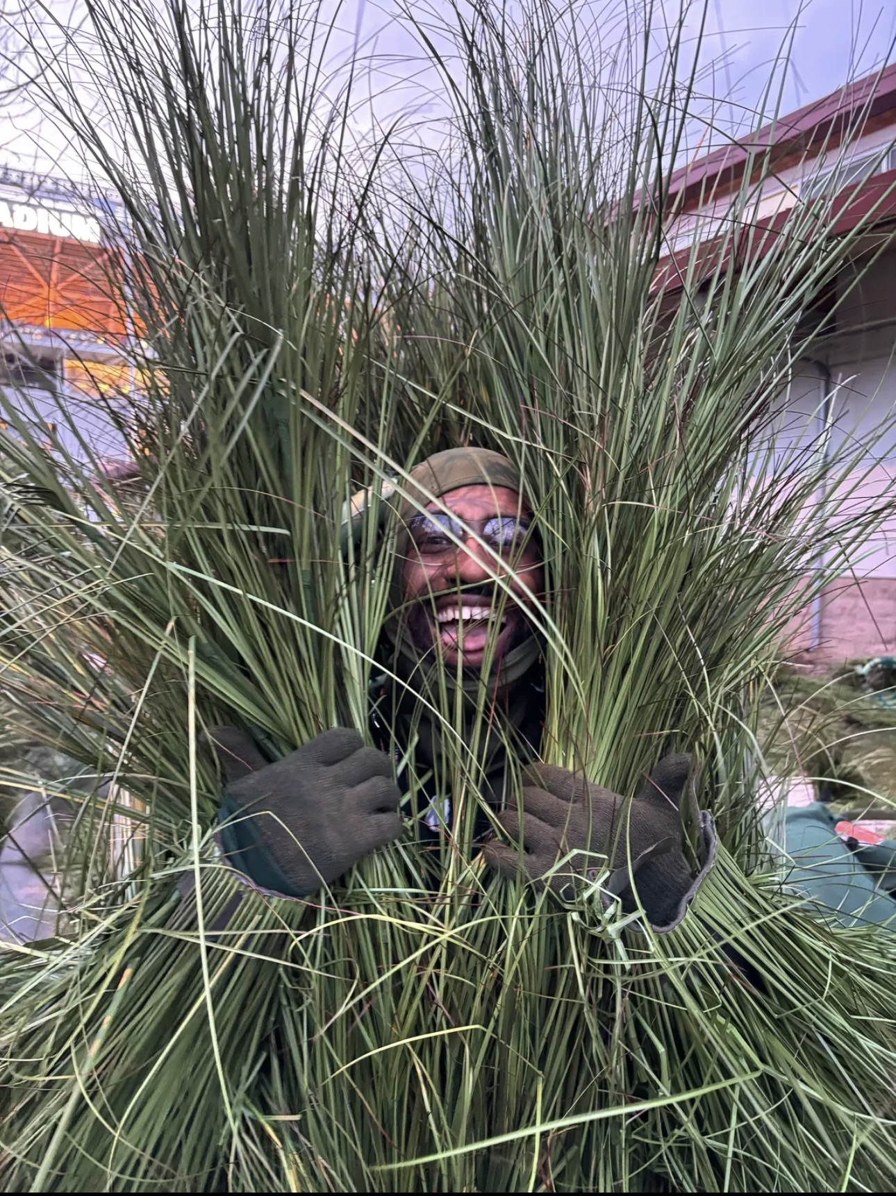 "60 libras de peso y $18 la hora: La dura realidad de trabajar como 'arbusto' en el show de Bad Bunny"