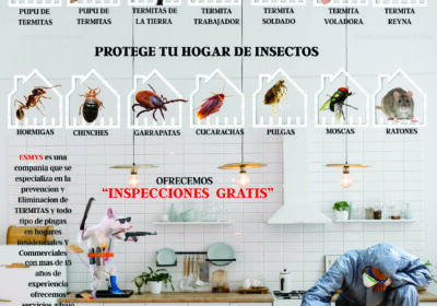 ESMYS-TERMITE-AND-PEST-CONTROL-FULL-PAGE