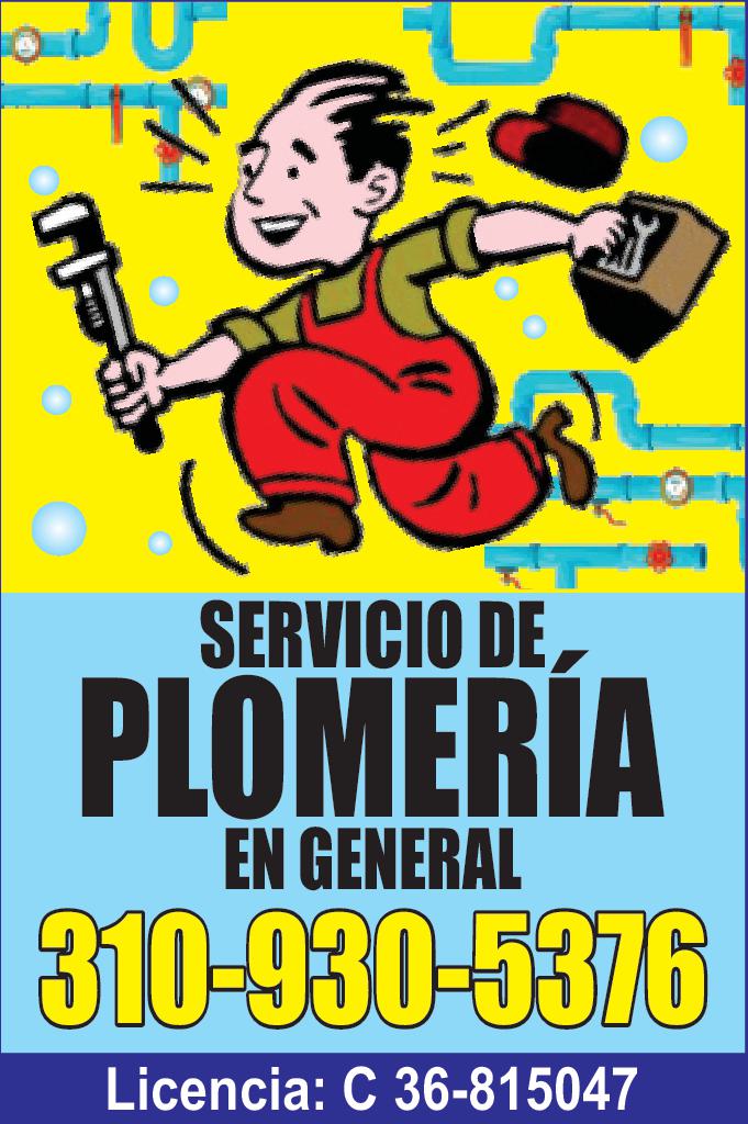 SERVICIO DE PLOMERIA EN GENERAL