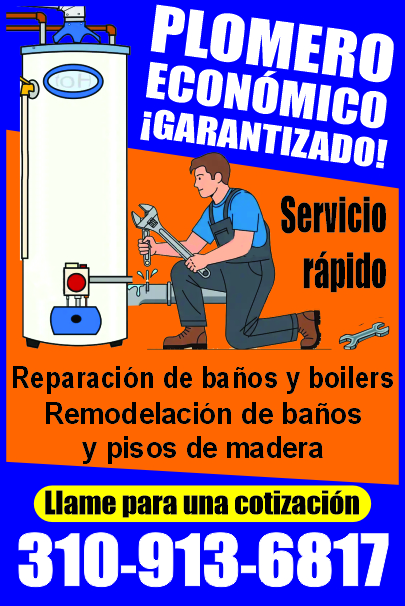 PLOMERO ECONÓMICO
